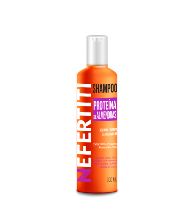 Shampoo con extracto de almendras para CABELLO TEÑIDO 300ml