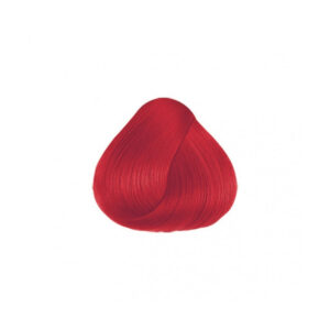 Nefertiti - Productos de Belleza