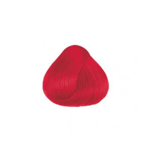Nefertiti - Productos de Belleza